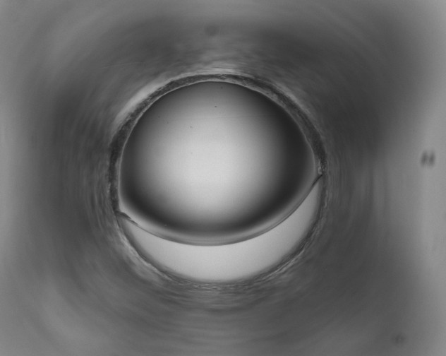 X0000111021452200906191641