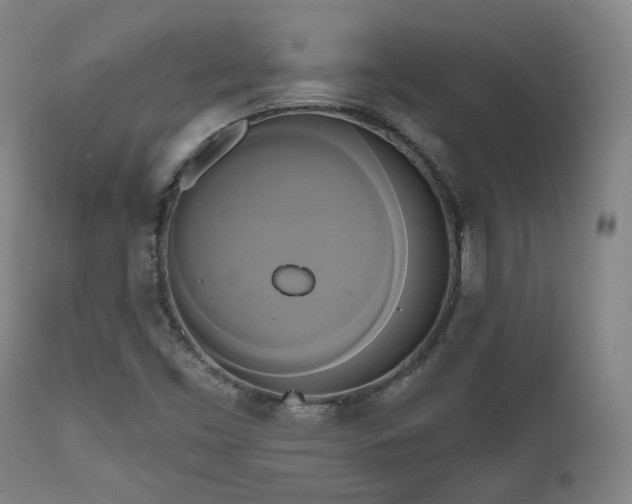 X0000111021453200906191641