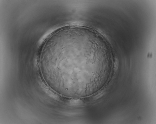 X0000111021454200906191641