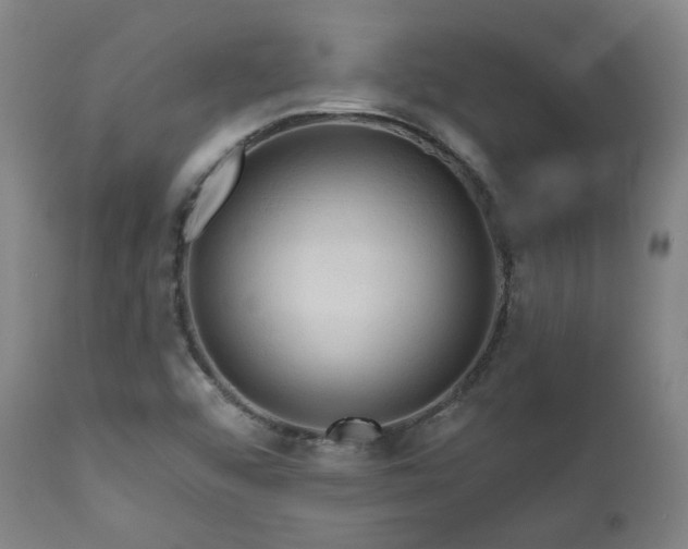 X0000111021456200906191641
