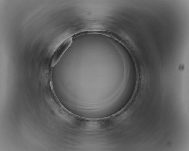 X0000111021457200906191641