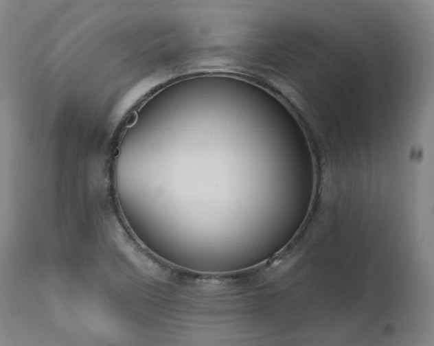 X0000111021458200906191641
