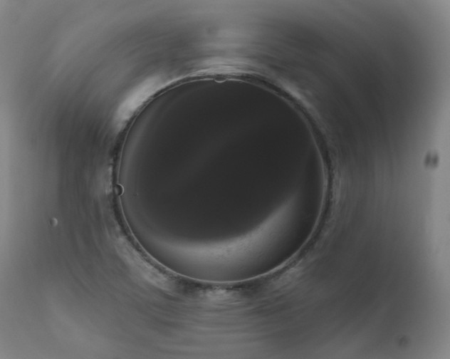 X0000111021459200906191641