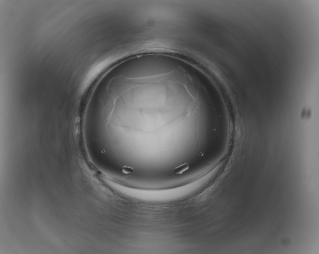 X0000111021461200906191641