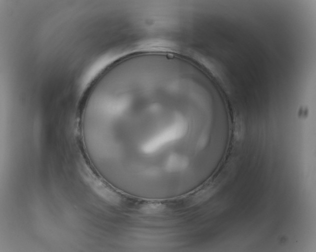 X0000111021462200906191641