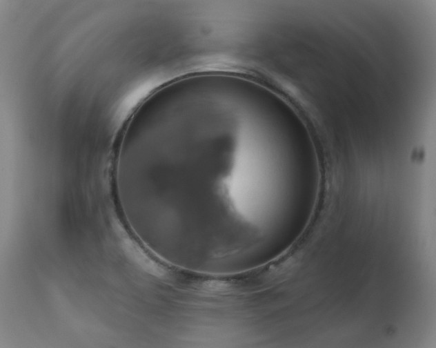 X0000111021463200906191641