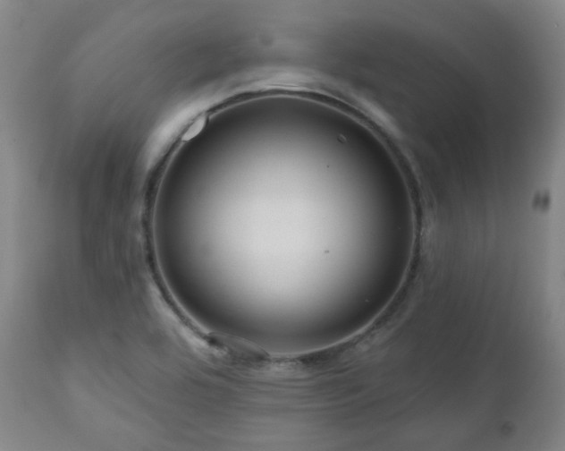X0000111021464200906191641