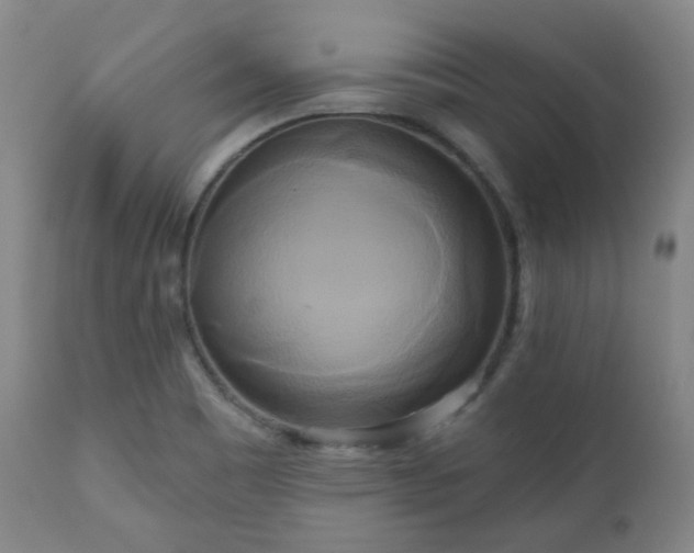 X0000111021465200906191641