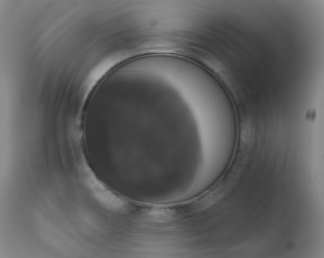 X0000111021466200906191640