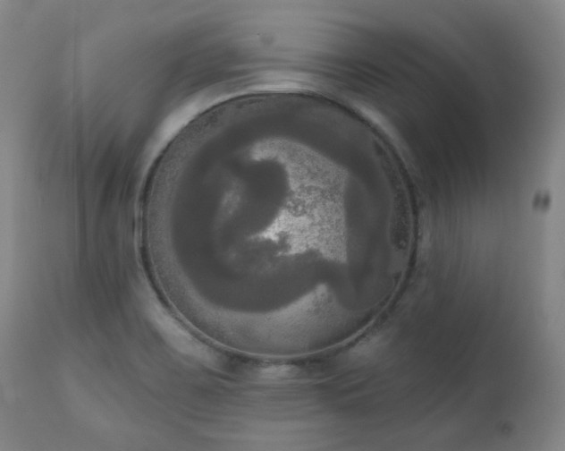 X0000111021467200906191640