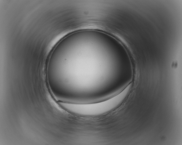 X0000111021468200906191640