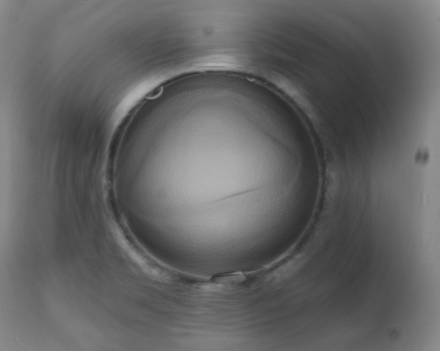 X0000111021469200906191640