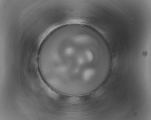 X0000111021470200906191640