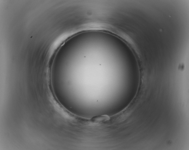 X0000111021472200906191640
