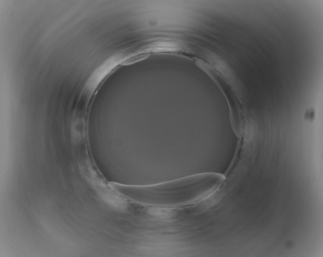 X0000111021473200906191640
