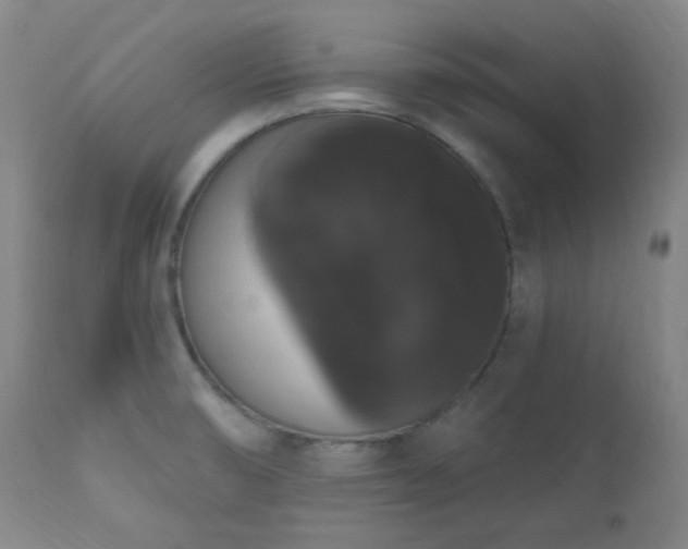 X0000111021474200906191640