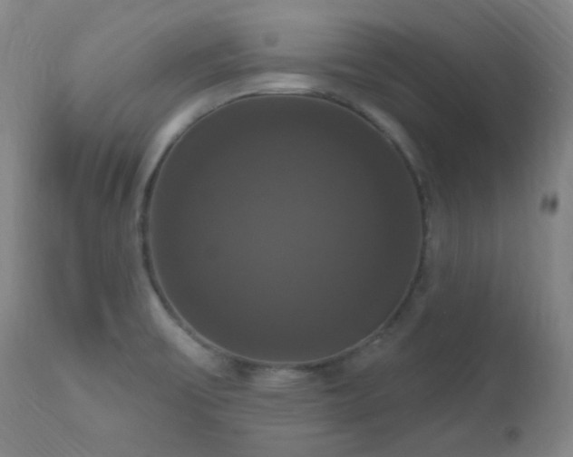 X0000111021475200906191640