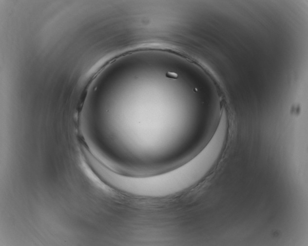 X0000111021476200906191640