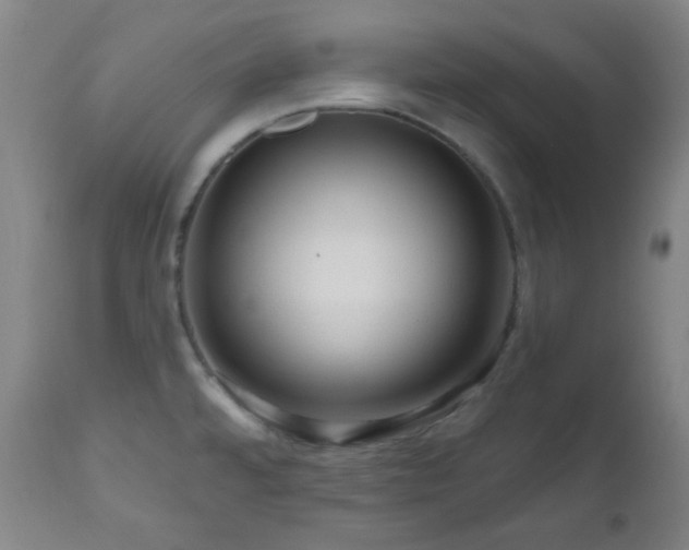 X0000111021480200906191640