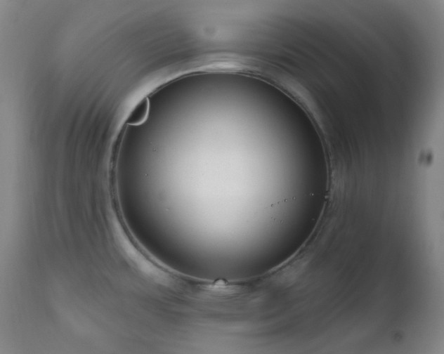 X0000111021483200906191640