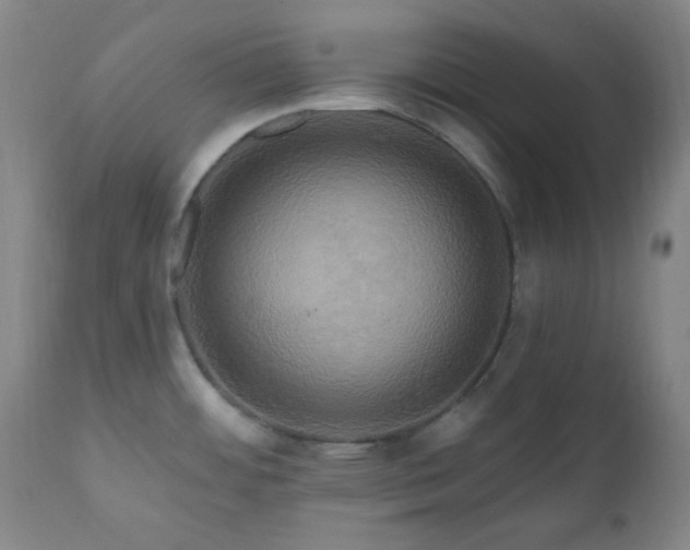 X0000111021484200906191640