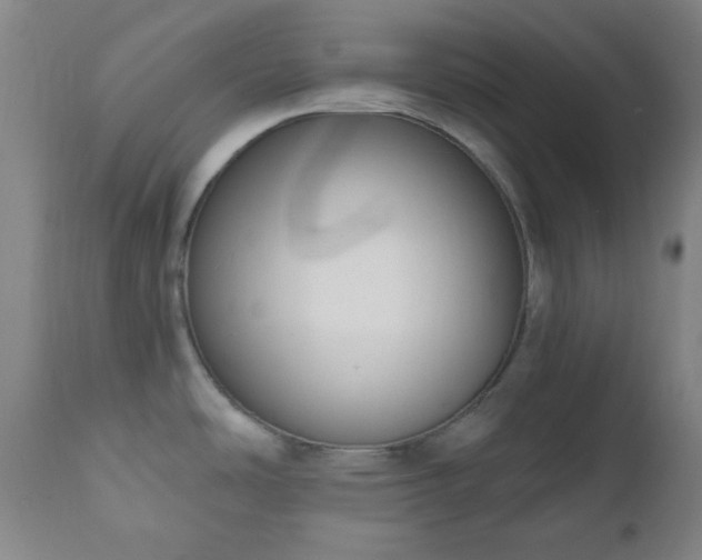 X0000111021486200906191640