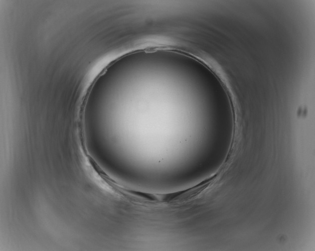 X0000111021488200906191640