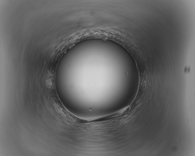 X0000111021490200906191639