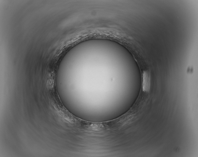 X0000111021491200906191639