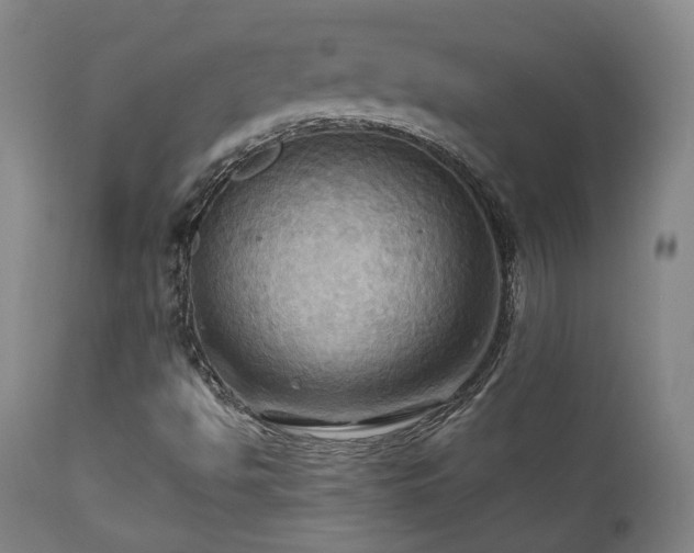 X0000111021494200906191639