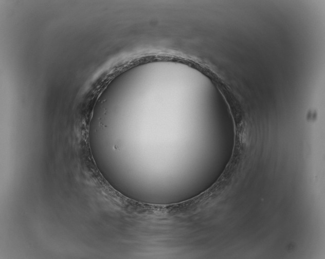 X0000111021495200906191639