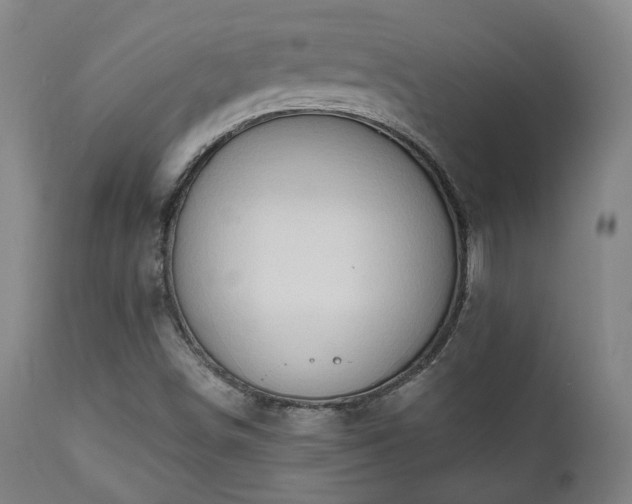 X0000111021498200906191639