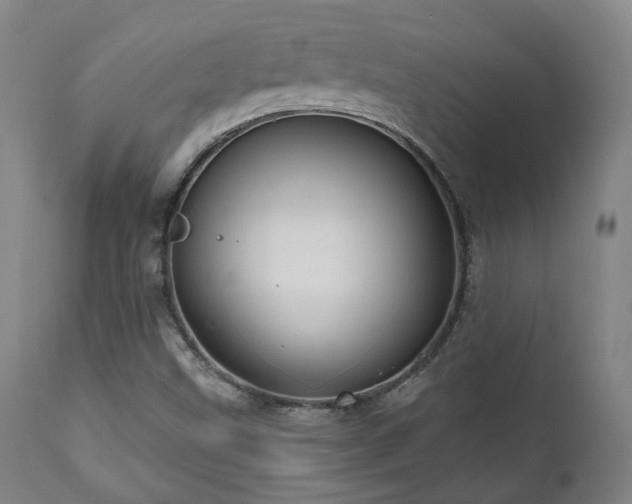 X0000111021499200906191639