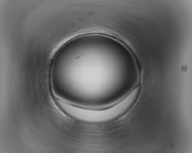 X0000111021500200906191640