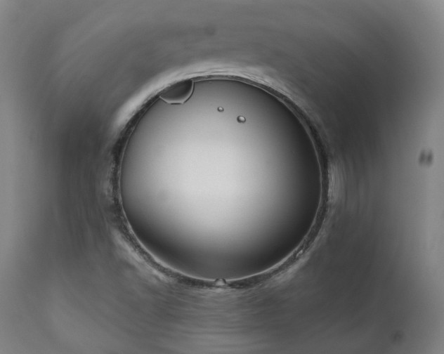 X0000111021502200906191640