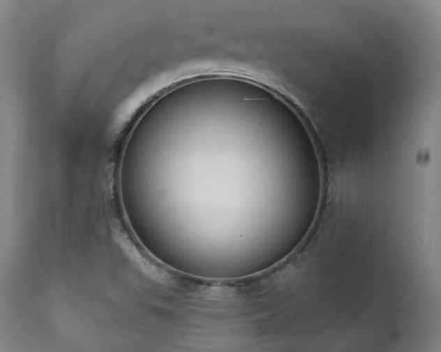 X0000111021503200906191640