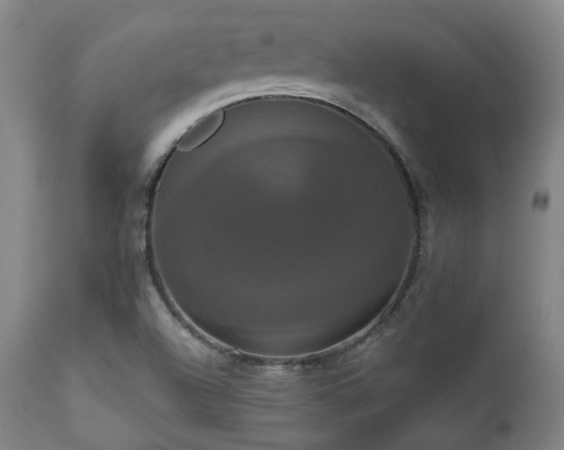 X0000111021504200906191640