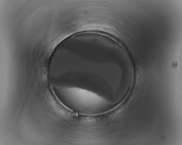 X0000111021505200906191640