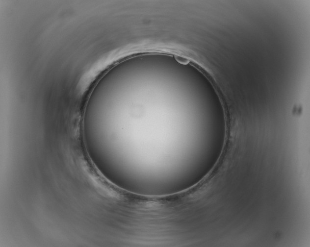 X0000111021507200906191640
