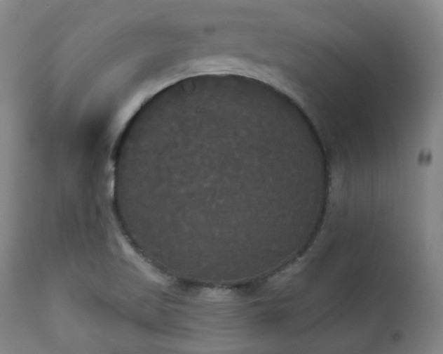 X0000111021509200906191640
