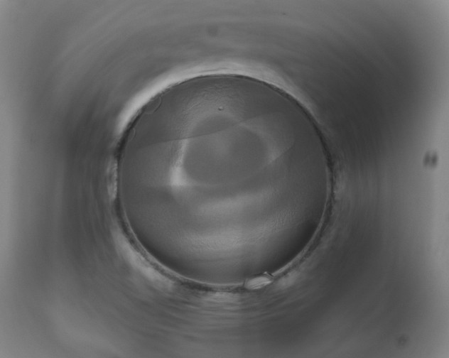 X0000111021510200906191640