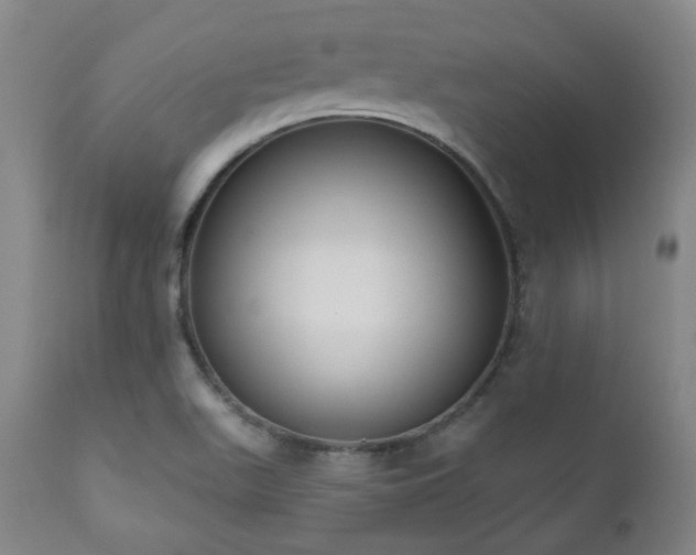 X0000111021511200906191640