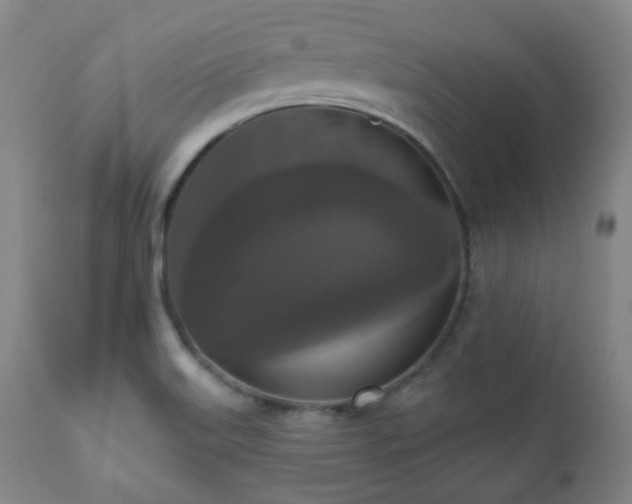 X0000111021515200906191640