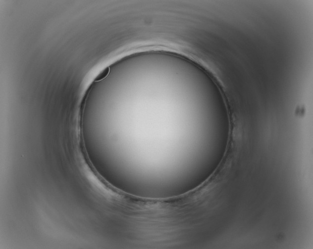 X0000111021516200906191640