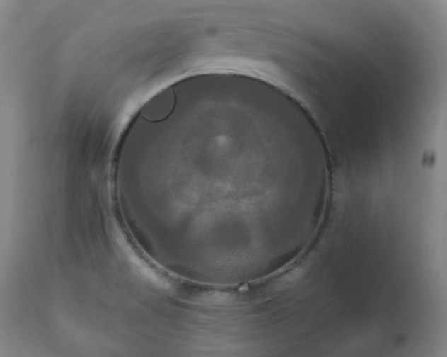 X0000111021517200906191640