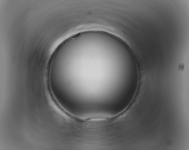 X0000111021518200906191640