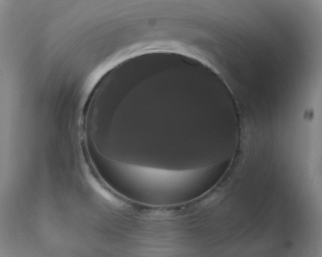 X0000111021519200906191640