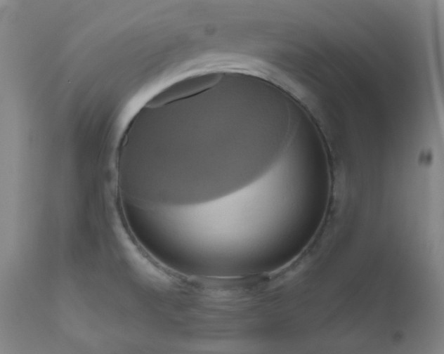 X0000111021520200906191640