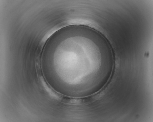 X0000111021521200906191640