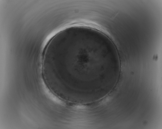 X0000111021522200906191640
